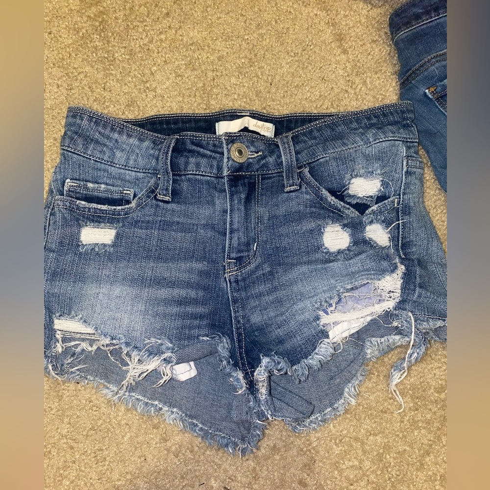 Buckle/ day trip shorts